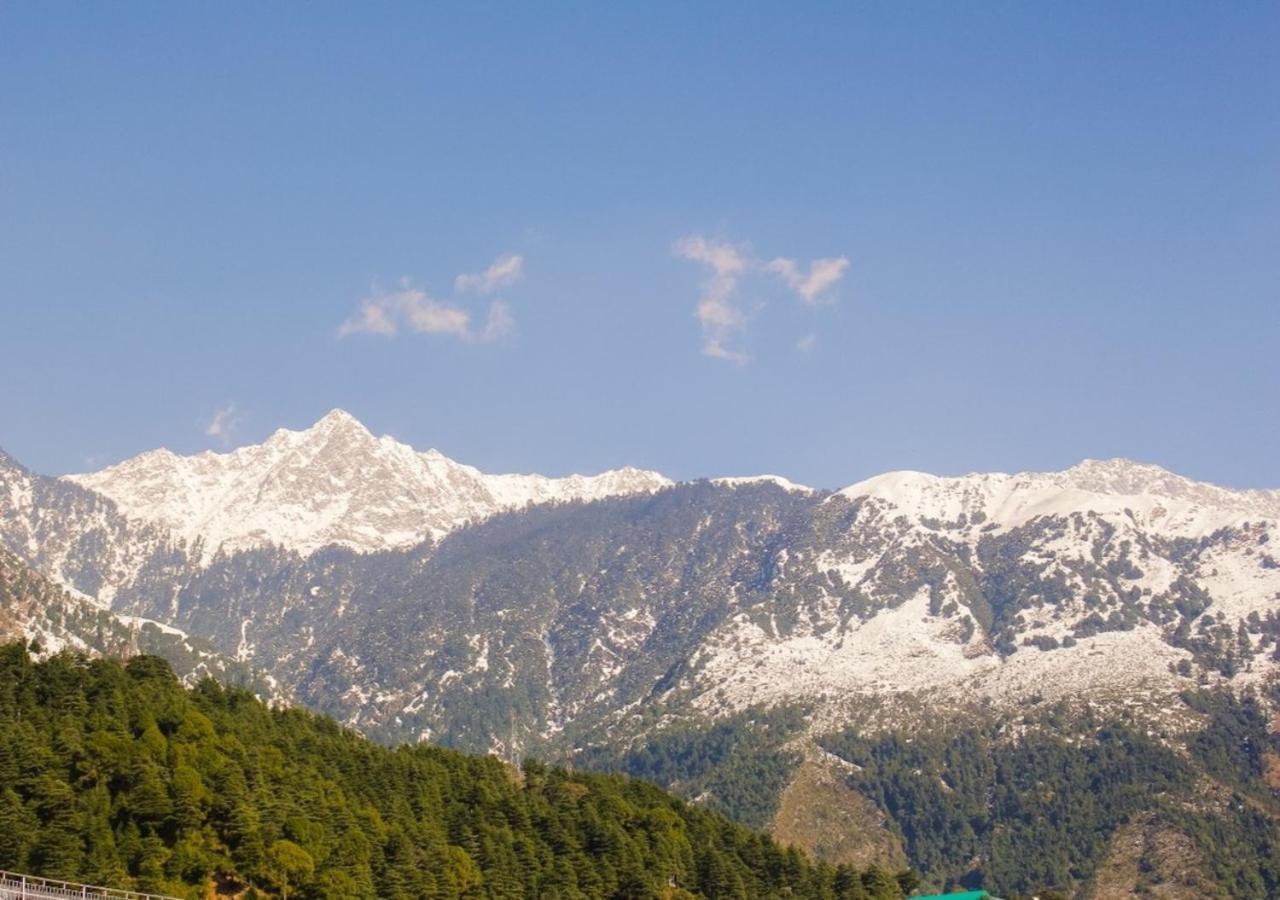 M Hotel And Restaurant McLeod Ganj Εξωτερικό φωτογραφία